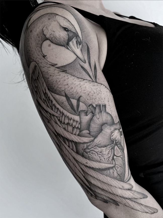 swan tattoo on arm