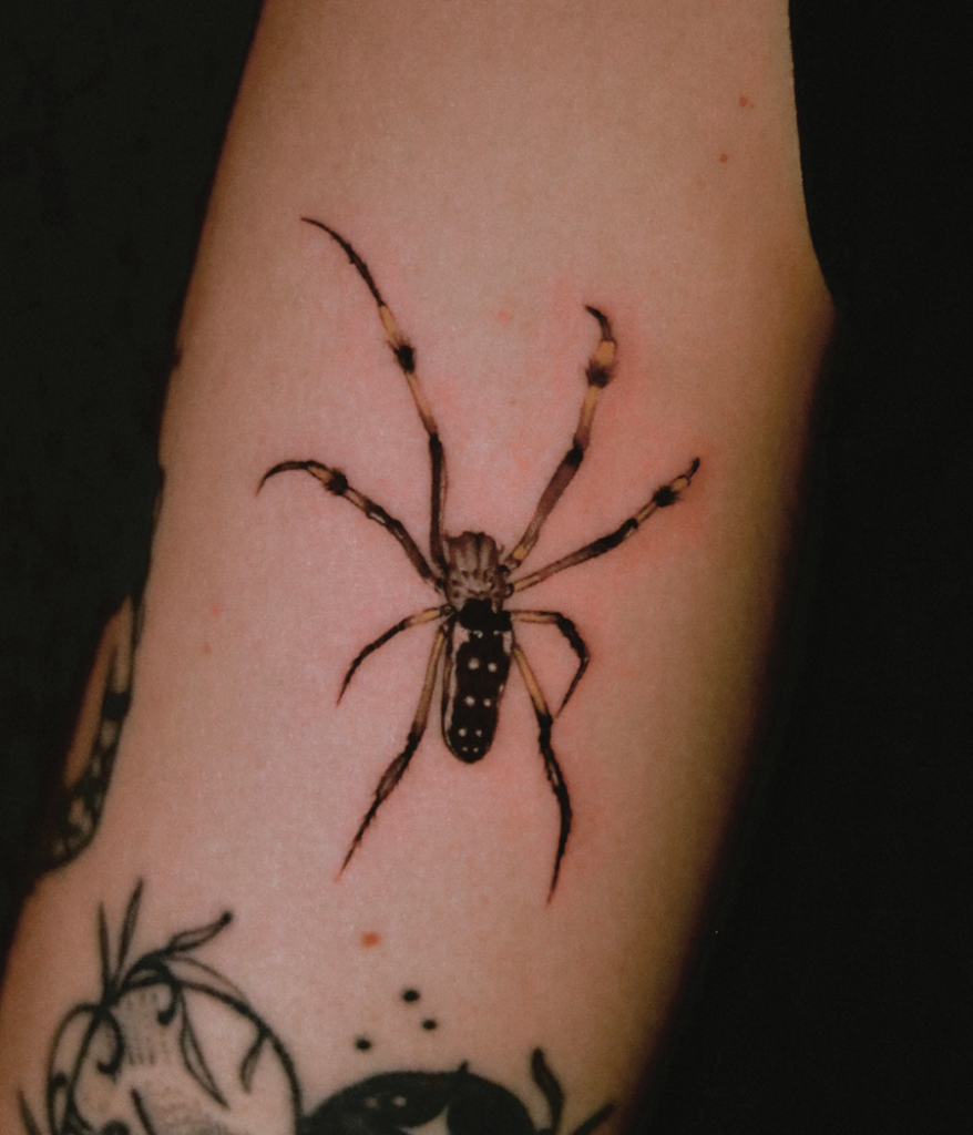 spider tattoo close up