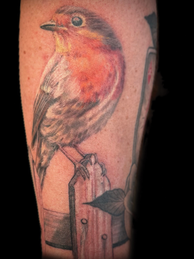 red robin tattoo on leg