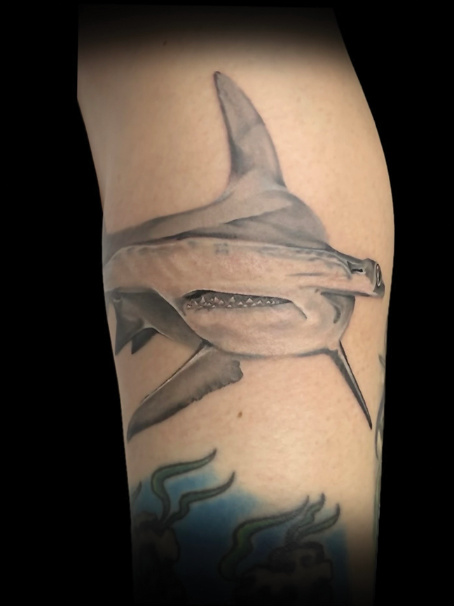 hammerhead shark tattoo