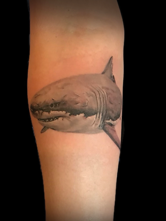 great white shark tattoo