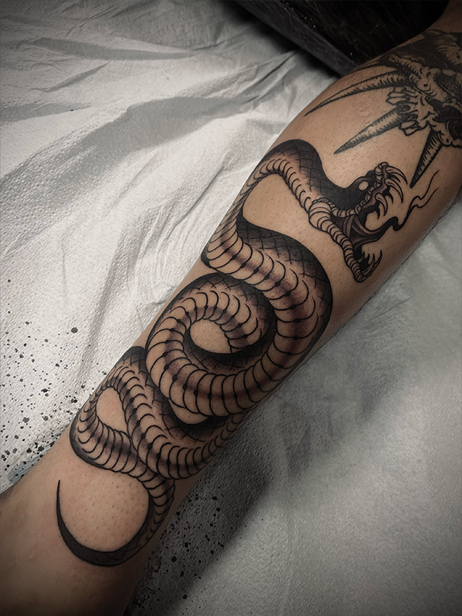 snake tattoo on arm