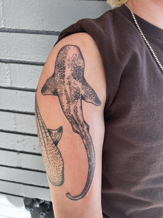 shark tattoo on arm
